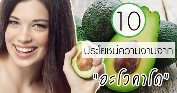 อะโวคาโด อะโวคาโด