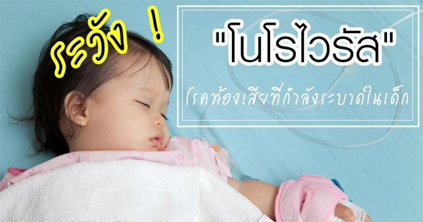 โนโรไวรัส โนโรไวรัส