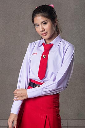 เป็ด Idol เป็ด Idol