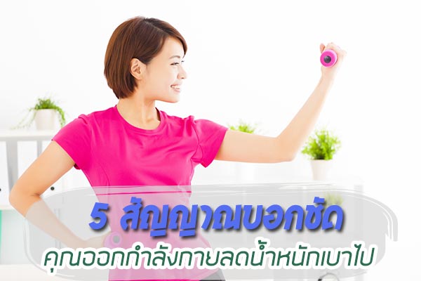 ออกกำลังกาย ออกกำลังกาย