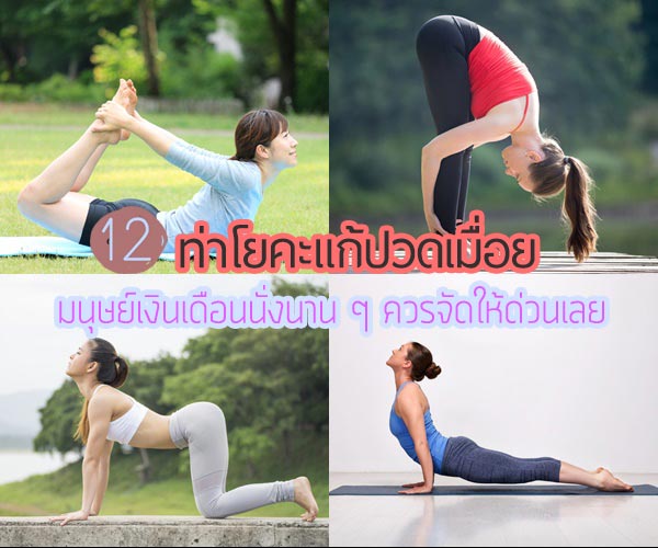 โยคะแก้ปวดหลัง โยคะแก้ปวดหลัง