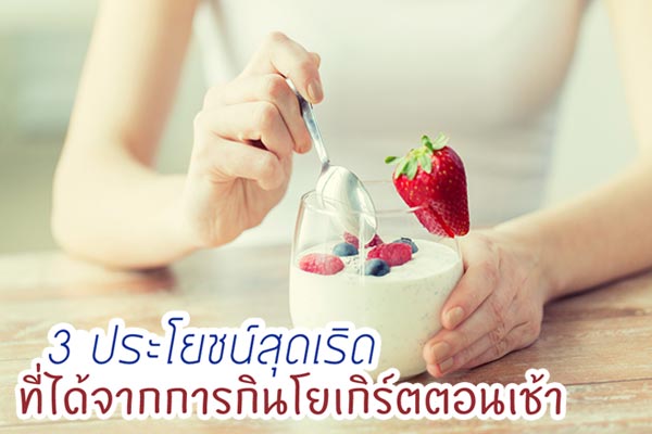 กินโยเกิร์ตตอนเช้า กินโยเกิร์ตตอนเช้า