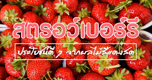 สตรอว์เบอร์รี สตรอว์เบอร์รี
