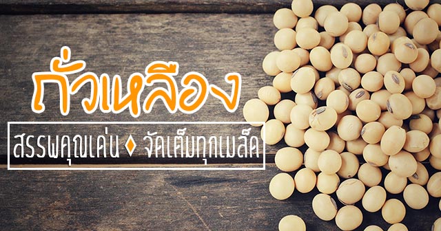 ถั่วเหลือง ถั่วเหลือง
