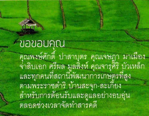 เที่ยวน่าน เที่ยวน่าน