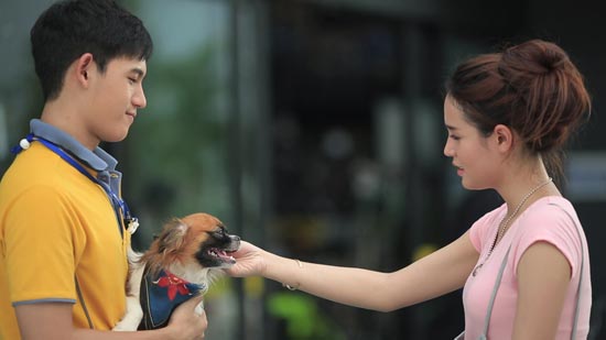 เดียร์ The Mazz MV เพลง เลี้ยงง่ายง่ายผู้ชายโง่โง่ เดียร์ The Mazz MV เพลง เลี้ยงง่ายง่ายผู้ชายโง่โง่