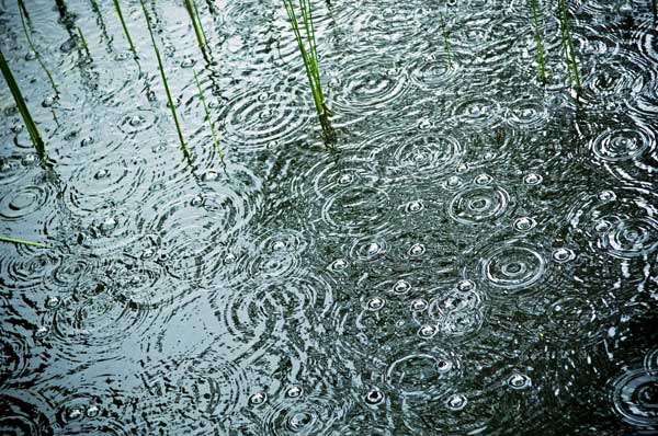 เสียงฝนตก เสียงฝนตก