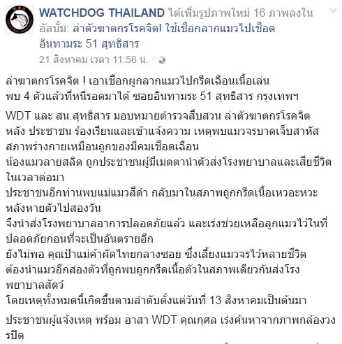 ทำร้ายแมว ทำร้ายแมว