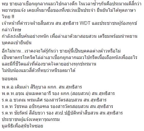 ทำร้ายแมว ทำร้ายแมว