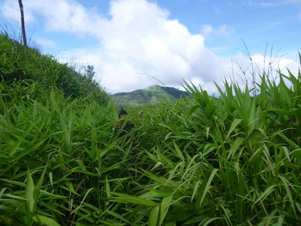 อุทยานแห่งชาติทองผาภูมิ อุทยานแห่งชาติทองผาภูมิ