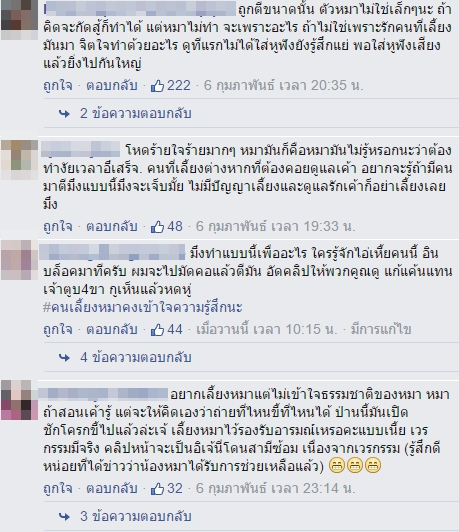 ทำร้ายหมา ทำร้ายหมา