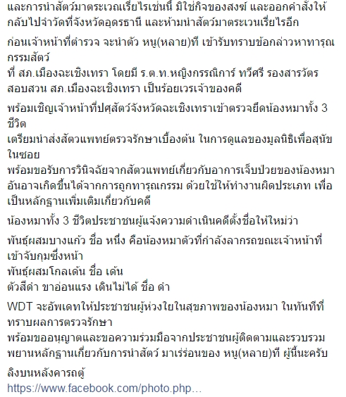 พระหนูทีใช้หมาบิณฑบาตร พระหนูทีใช้หมาบิณฑบาตร