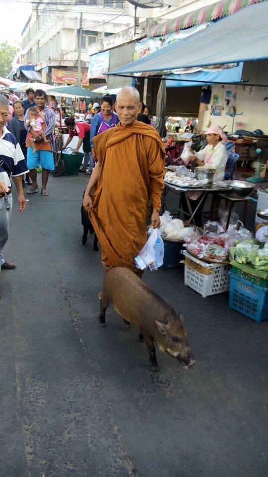 พระหนูทีใช้หมาบิณฑบาตร