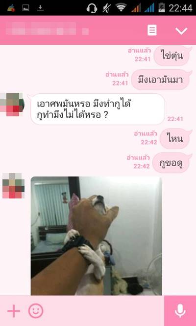 บีบคอหมา บีบคอหมา