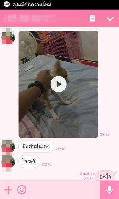 บีบคอหมา บีบคอหมา