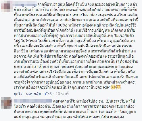 แมวตาย แมวตาย