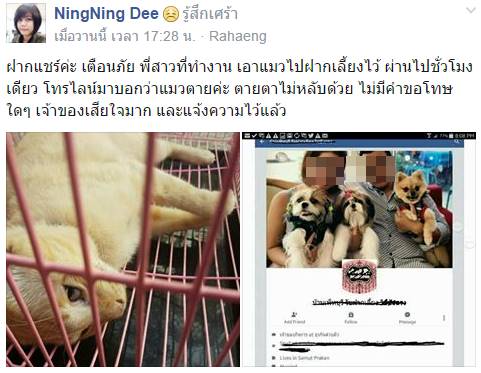 แมวตาย แมวตาย