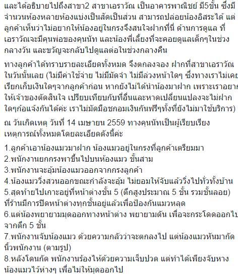 แมวตาย แมวตาย
