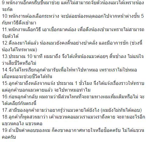 แมวตาย แมวตาย