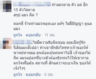 แมวตาย แมวตาย