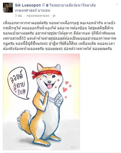 ลอยด์ หมาชิบะ ลอยด์ หมาชิบะ