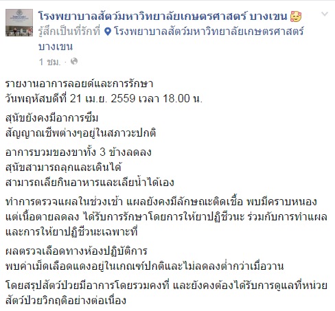 ลอยด์ หมาชิบะ ลอยด์ หมาชิบะ
