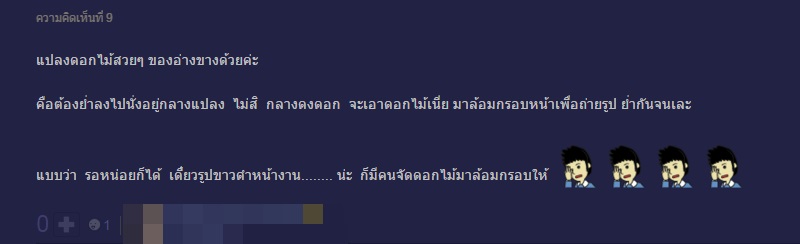 นักท่องเที่ยวนิสัยเสีย โน้มกิ่งซากุระมาถ่ายรูป ณ ดอยอ่างขาง นักท่องเที่ยวนิสัยเสีย โน้มกิ่งซากุระมาถ่ายรูป ณ ดอยอ่างขาง