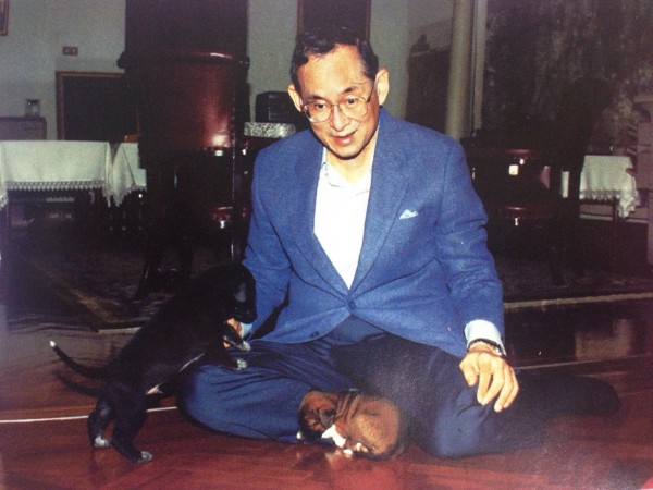 คุณทองแดง เข้าเฝ้าฯ ในหลวง รัชกาลที่ 9 คุณทองแดง เข้าเฝ้าฯ ในหลวง รัชกาลที่ 9