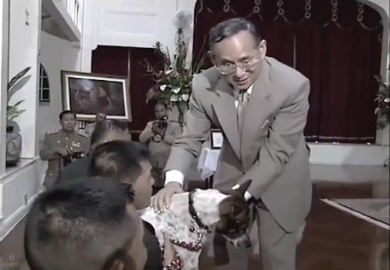 ในหลวง รัชกาลที่ 9 ในหลวง รัชกาลที่ 9