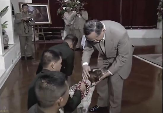 ในหลวง รัชกาลที่ 9 ในหลวง รัชกาลที่ 9