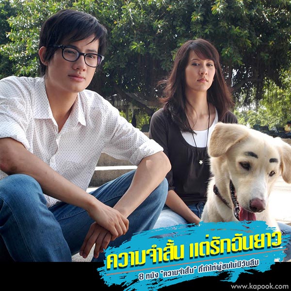 หนังความจำเสื่อม หนังความจำเสื่อม