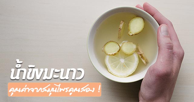 น้ำขิงมะนาว น้ำขิงมะนาว