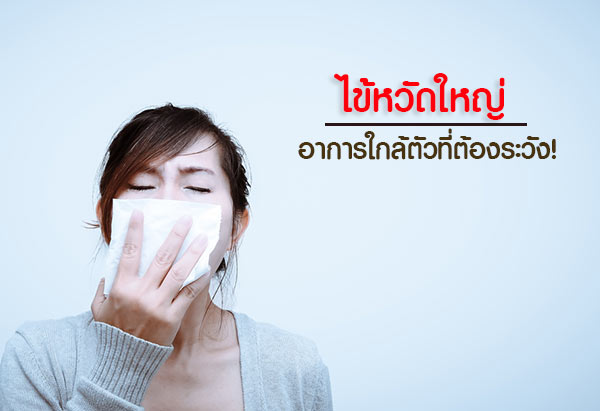 ไข้หวัดใหญ่ ไข้หวัดใหญ่