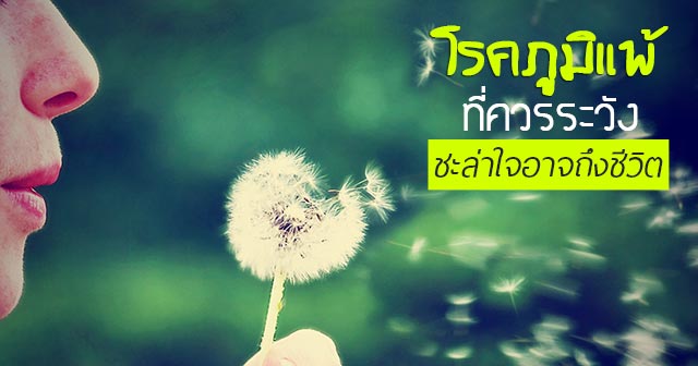 โรคภูมิแพ้ โรคภูมิแพ้