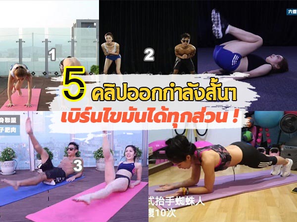 ออกกำลังกาย ออกกำลังกาย