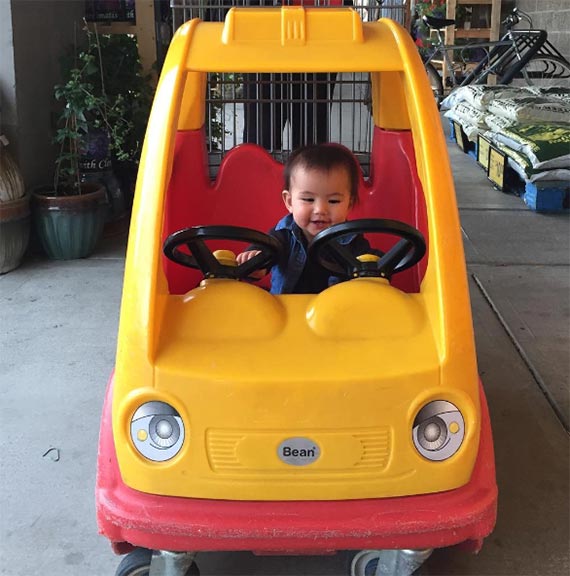 น้องเอวาลีน ลูกสาว เจนนี่ อั๋น น้องเอวาลีน ลูกสาว เจนนี่ อั๋น