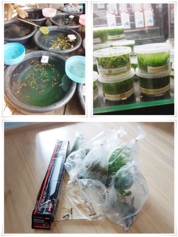 DIY ของแต่งบ้าน DIY ของแต่งบ้าน