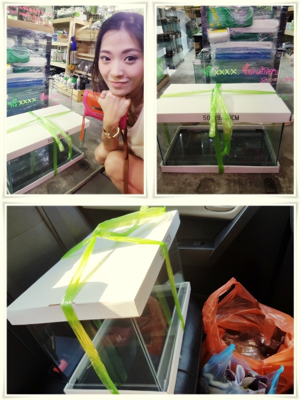 DIY ของแต่งบ้าน DIY ของแต่งบ้าน