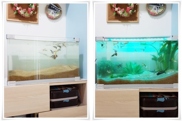 DIY ของแต่งบ้าน DIY ของแต่งบ้าน
