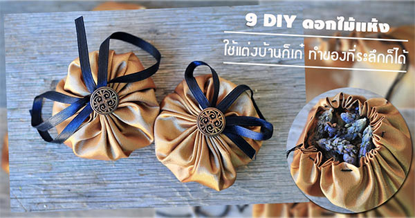 diy ดอกไม้แห้ง diy ดอกไม้แห้ง