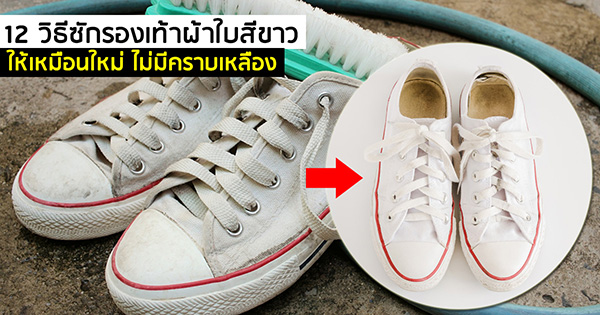 วิธีซักรองเท้าผ้าใบ วิธีซักรองเท้าผ้าใบ