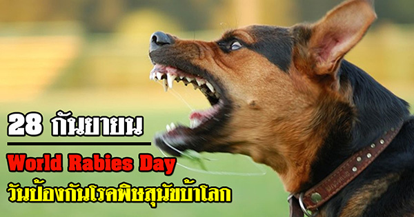 วันป้องกันโลกพิษสุนัขบ้าโลก วันป้องกันโลกพิษสุนัขบ้าโลก