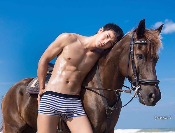 ภัค นรภัทร หนุ่มไทยคว้าตำแหน่ง Mister Model International Pageant 2016 ภัค นรภัทร หนุ่มไทยคว้าตำแหน่ง Mister Model International Pageant 2016