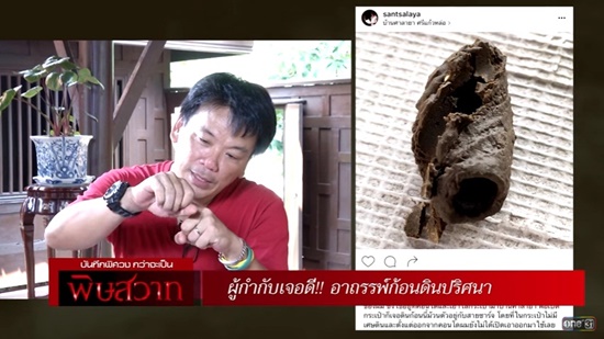 พิษสวาท เวอร์ชั่นปี 2559 พิษสวาท เวอร์ชั่นปี 2559