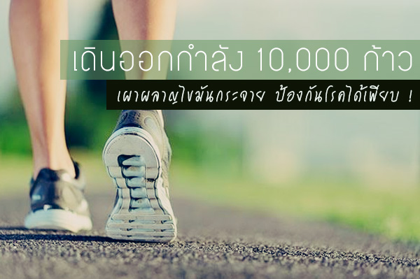 เดินออกกำลังกาย เดินออกกำลังกาย