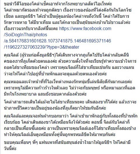 ตัดขาหน้าหมา ตัดขาหน้าหมา