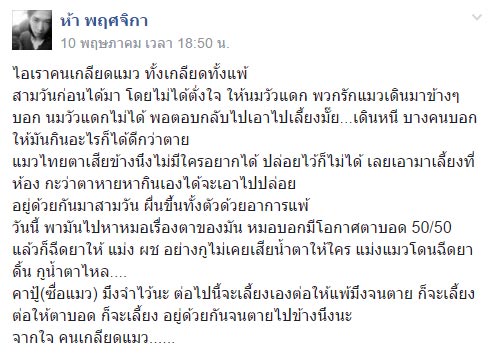 คนเกลียดแมว คนเกลียดแมว