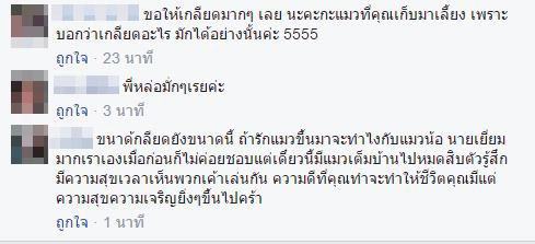 คนเกลียดแมว คนเกลียดแมว