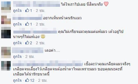 คนเกลียดแมว คนเกลียดแมว