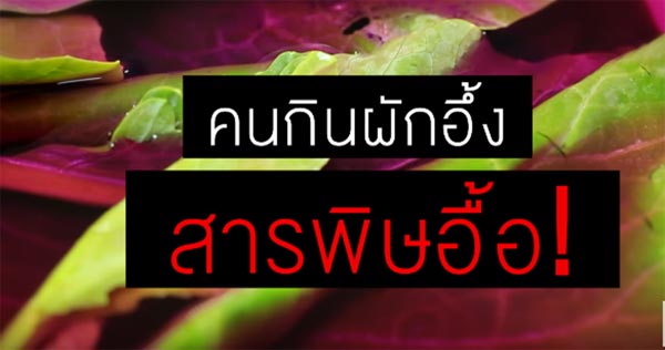 อึ้ง !! ผัก-ผลไม้ในไทยพบสารปนเปื้อนเกือบ 100% แนะวิธีล้างผักให้ปลอดภัย